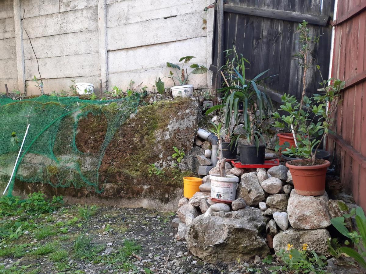 Casa Adrian Camere Centru Vechi 布拉索夫 外观 照片