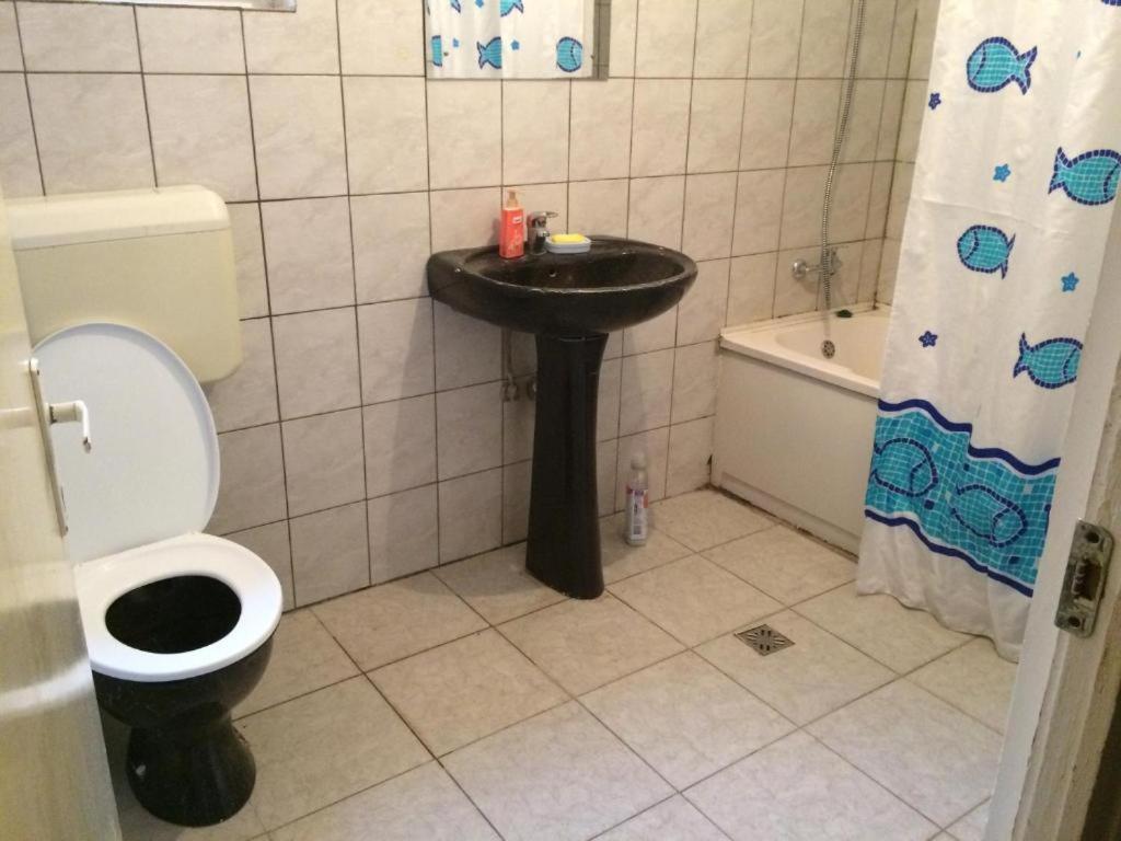 Casa Adrian Camere Centru Vechi 布拉索夫 外观 照片