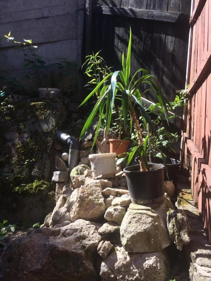 Casa Adrian Camere Centru Vechi 布拉索夫 外观 照片